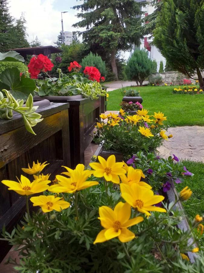 Apartmani Jokic Zlatibor Exterior foto